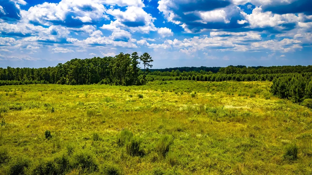 Hardin Hideout Moscow, TX 75960