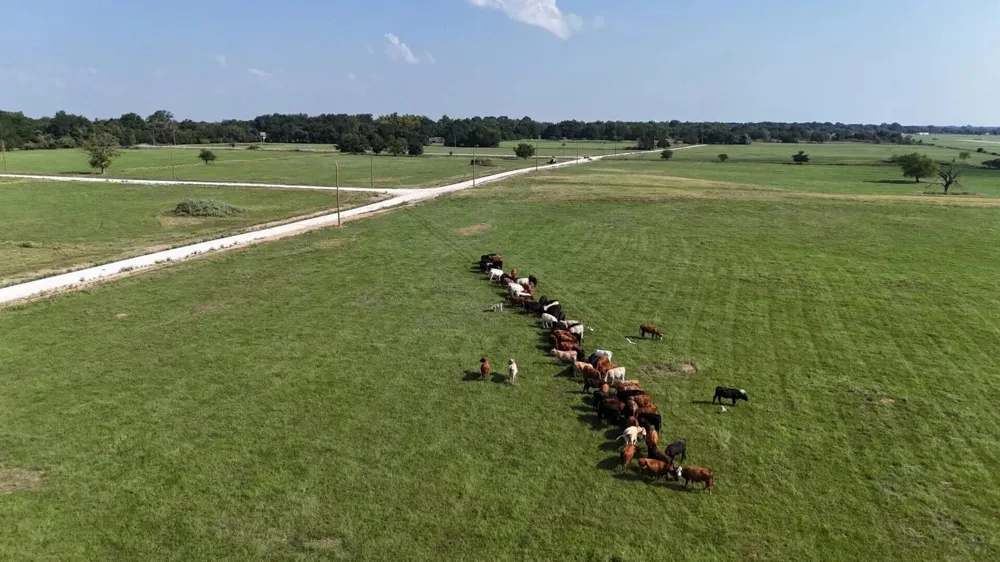 2 County Road 463 Mexia, TX 76667