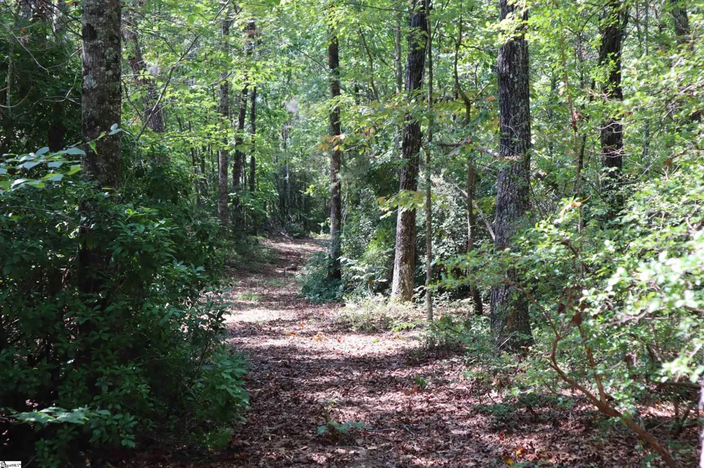 Address Not Shown Pickens, SC 29672