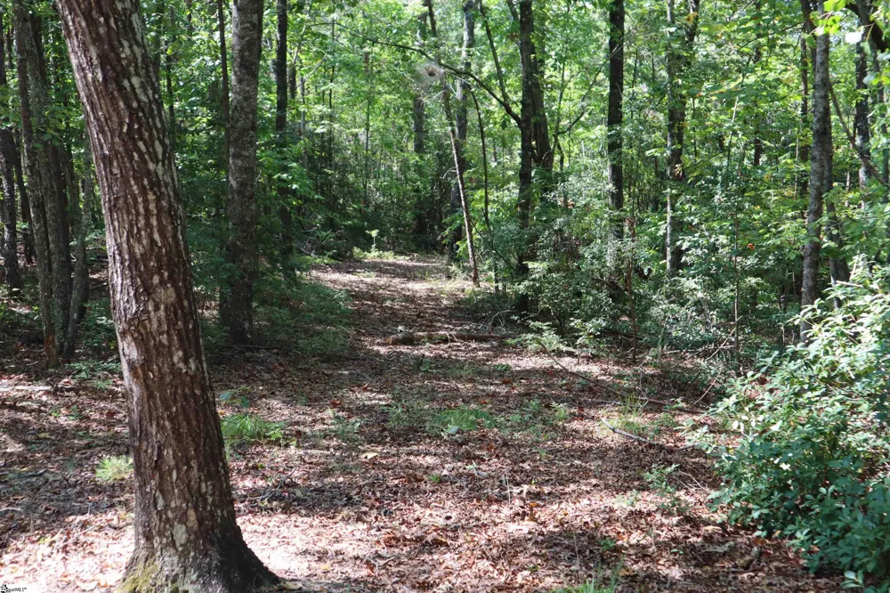 Address Not Shown Pickens, SC 29672