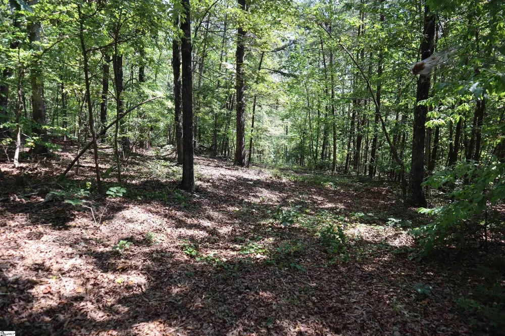 Address Not Shown Pickens, SC 29672