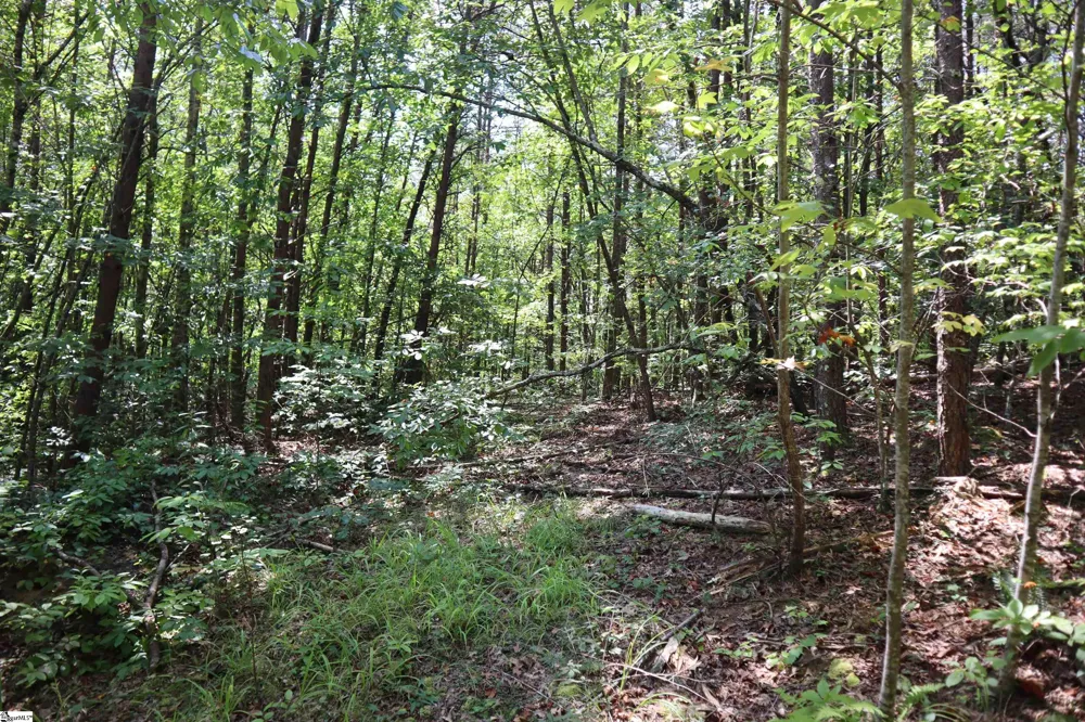 Address Not Shown Pickens, SC 29672