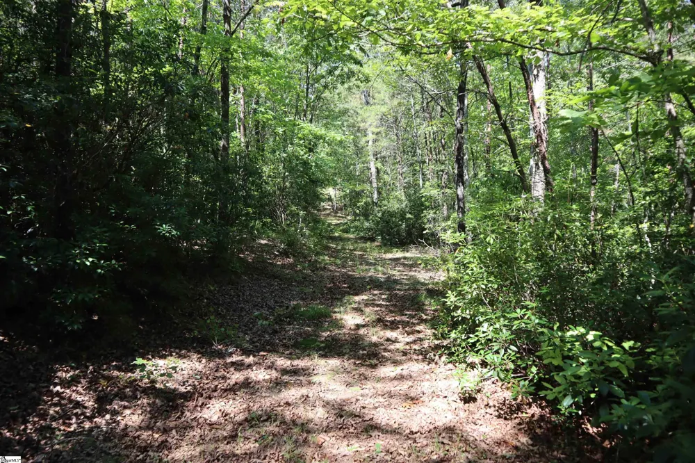 Address Not Shown Pickens, SC 29672