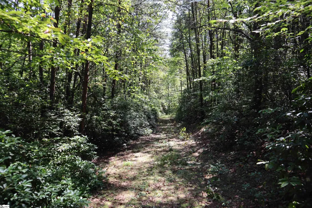 Address Not Shown Pickens, SC 29672