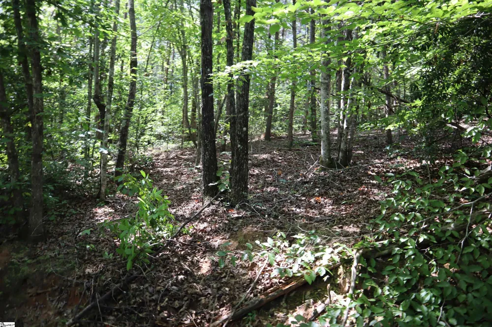 Address Not Shown Pickens, SC 29672