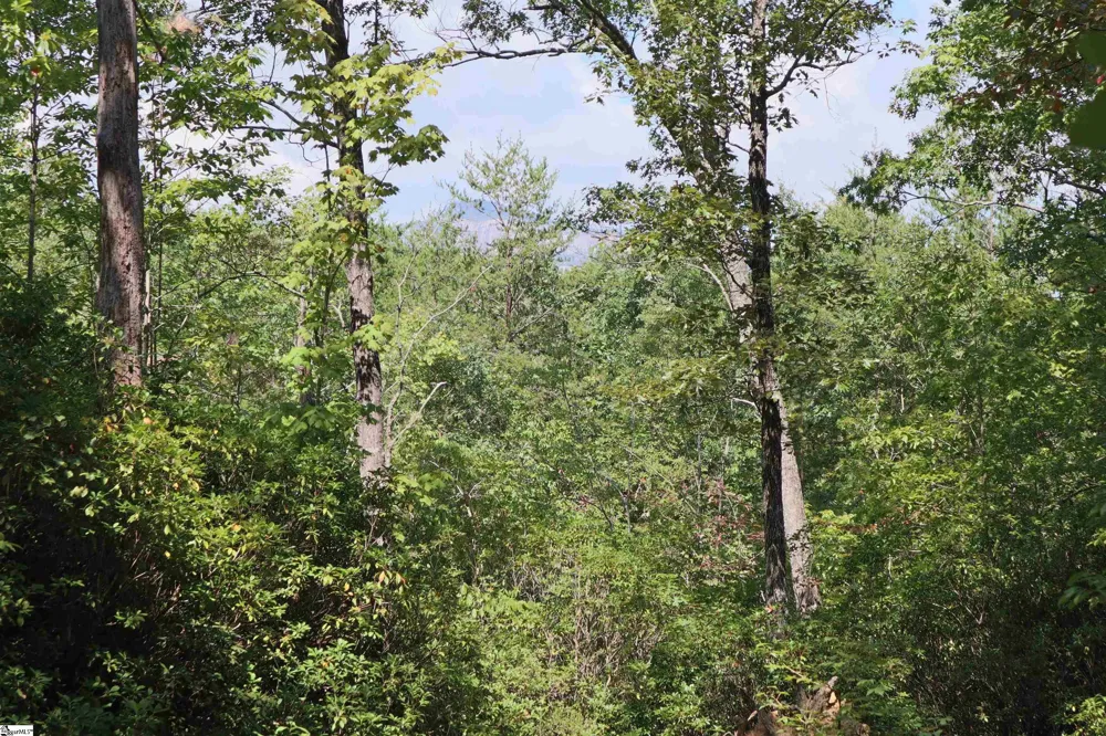 Address Not Shown Pickens, SC 29672