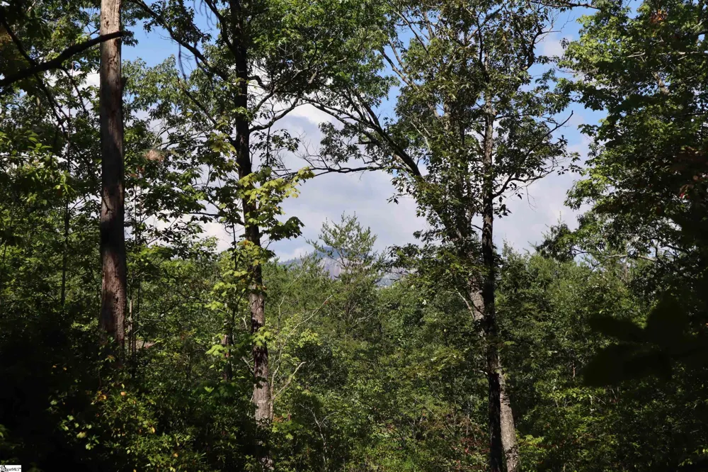 Address Not Shown Pickens, SC 29672