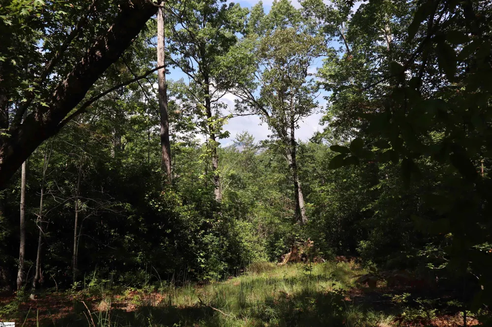 Address Not Shown Pickens, SC 29672