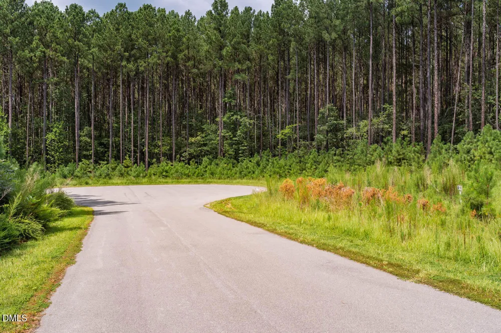586 Anneliis Lane Siler City, NC 27344