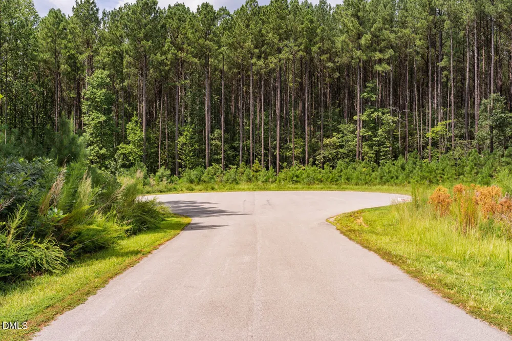 586 Anneliis Lane Siler City, NC 27344