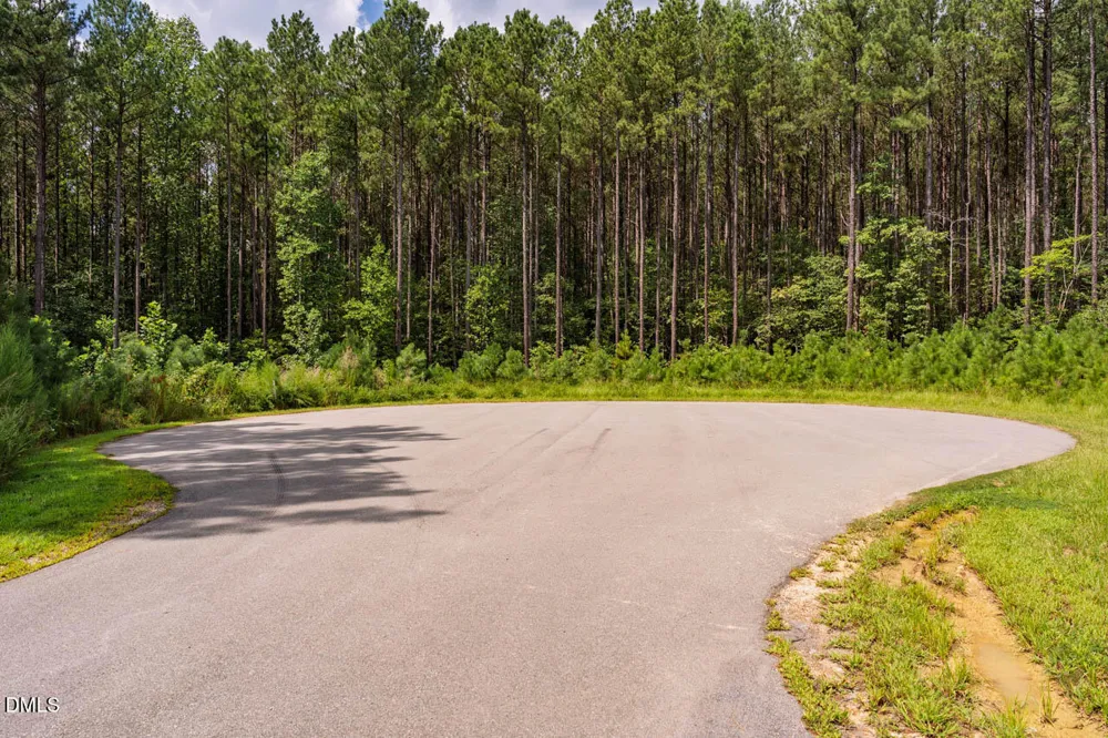 586 Anneliis Lane Siler City, NC 27344
