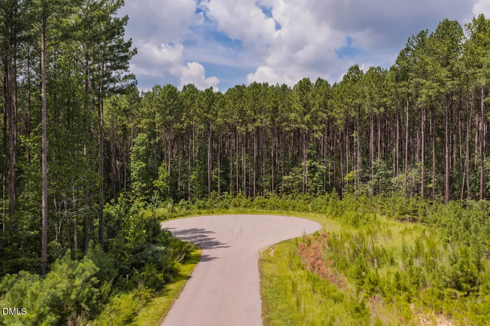 586 Anneliis Lane Siler City, NC 27344