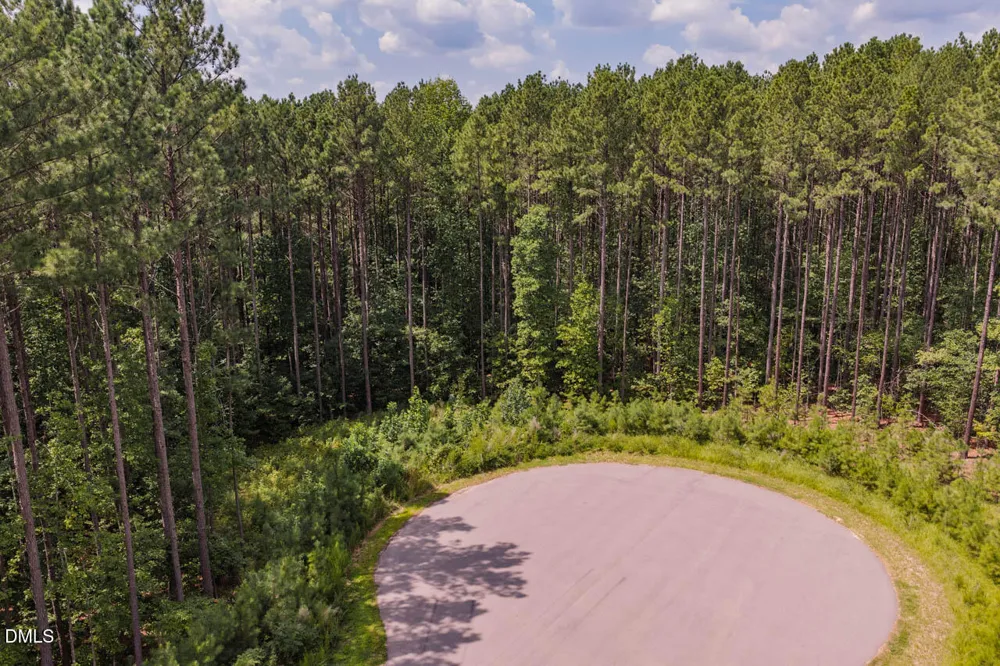 586 Anneliis Lane Siler City, NC 27344