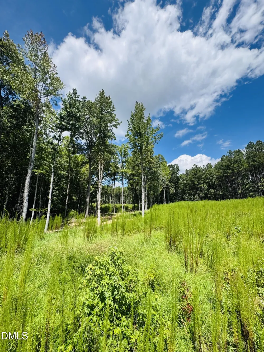 185 Larkington Drive Siler City, NC 27344