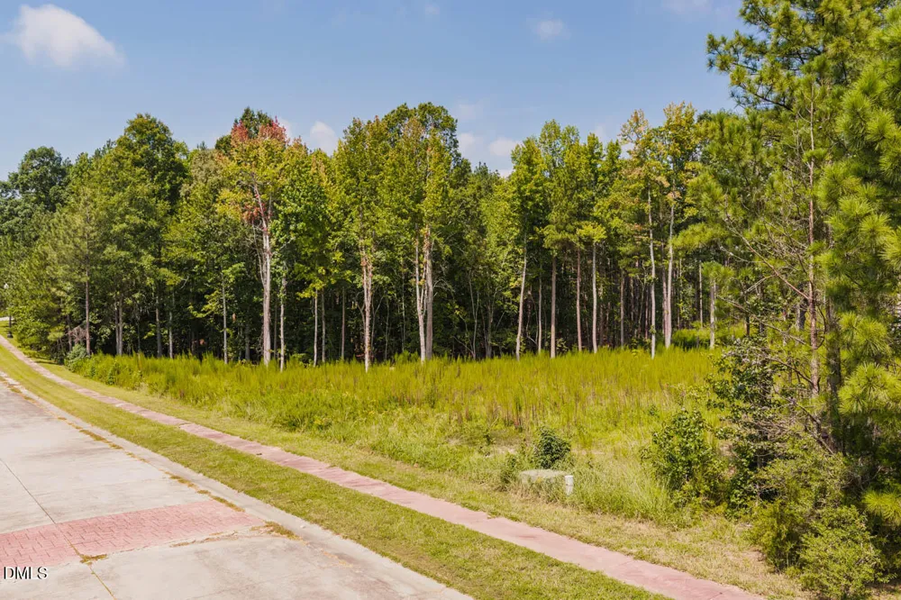 185 Larkington Drive Siler City, NC 27344