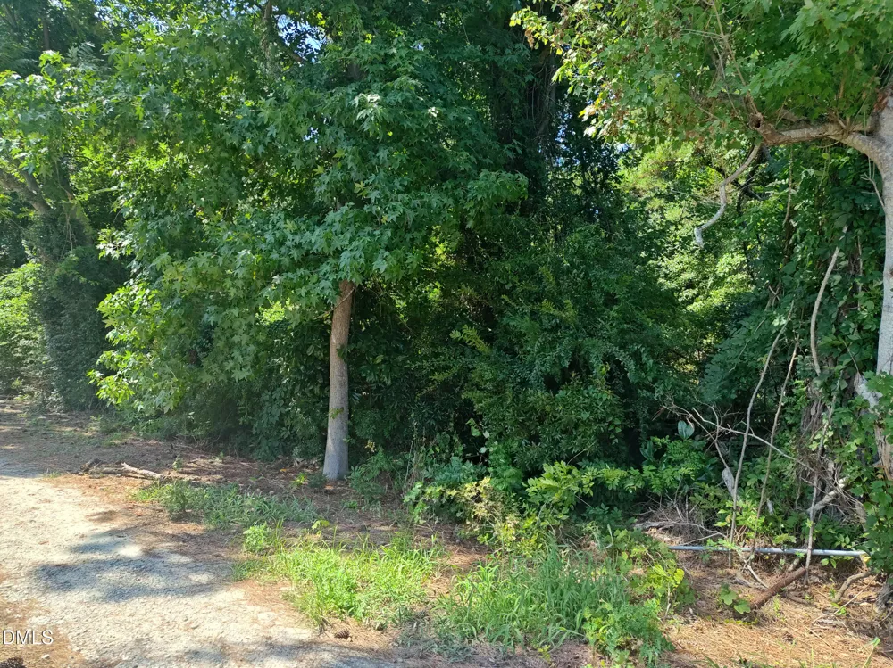 152 Clay Hill Road Sneads Ferry, NC 28460