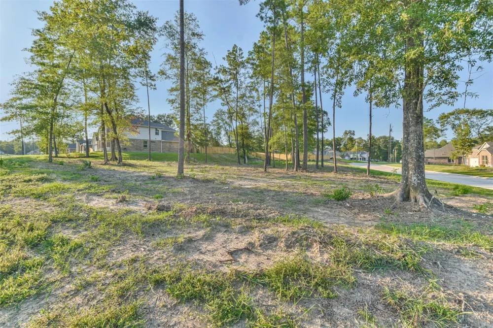 102 Whelan Lane New Waverly, TX 77358