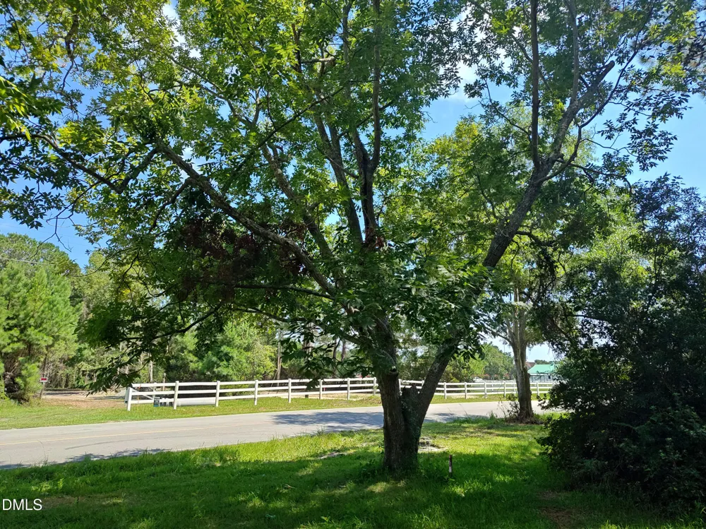 150 Clay Hill Road Sneads Ferry, NC 28460