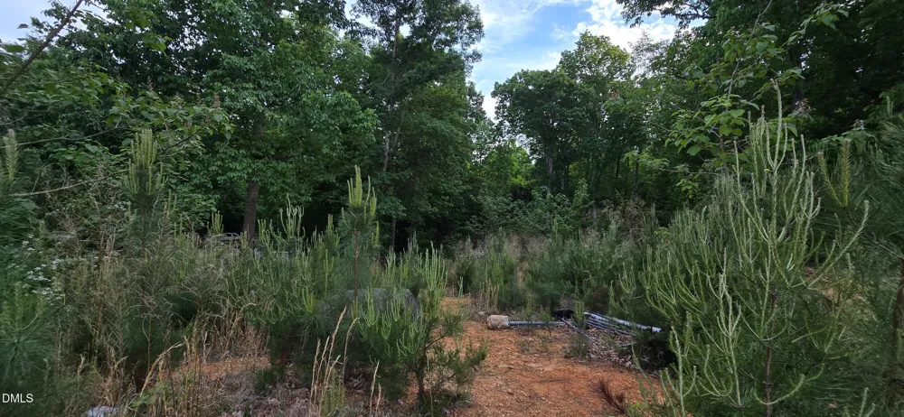 6530 Treetop Court Snow Camp, NC 27349