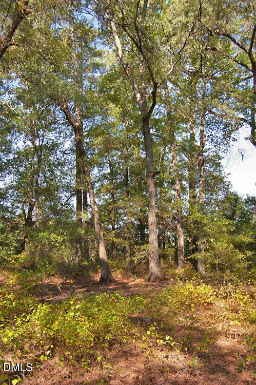 1738 Laurel Mill-centerville Road Louisburg, NC 27549