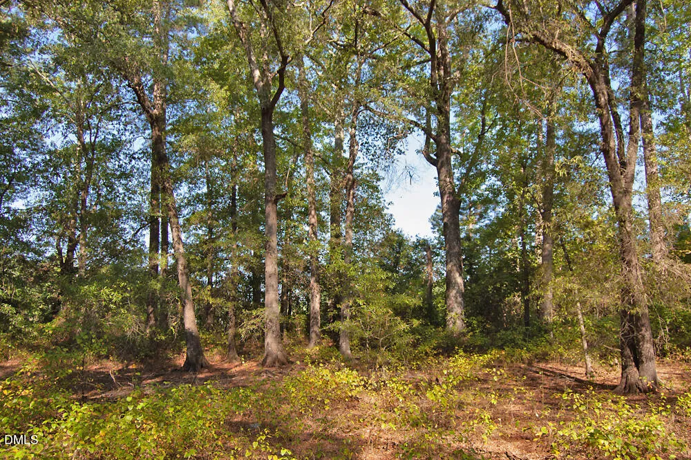 1738 Laurel Mill-centerville Road Louisburg, NC 27549