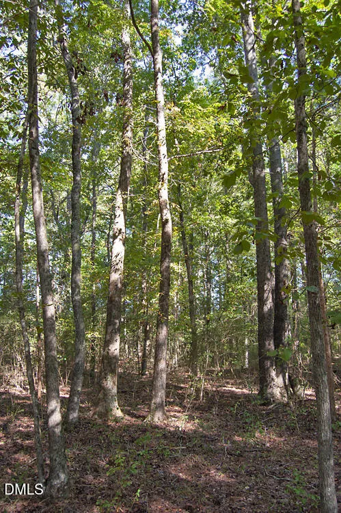 1738 Laurel Mill-centerville Road Louisburg, NC 27549