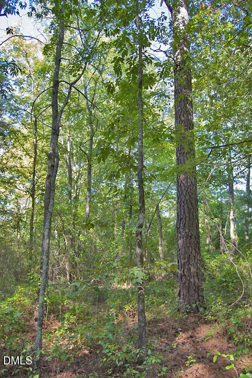 1738 Laurel Mill-centerville Road Louisburg, NC 27549