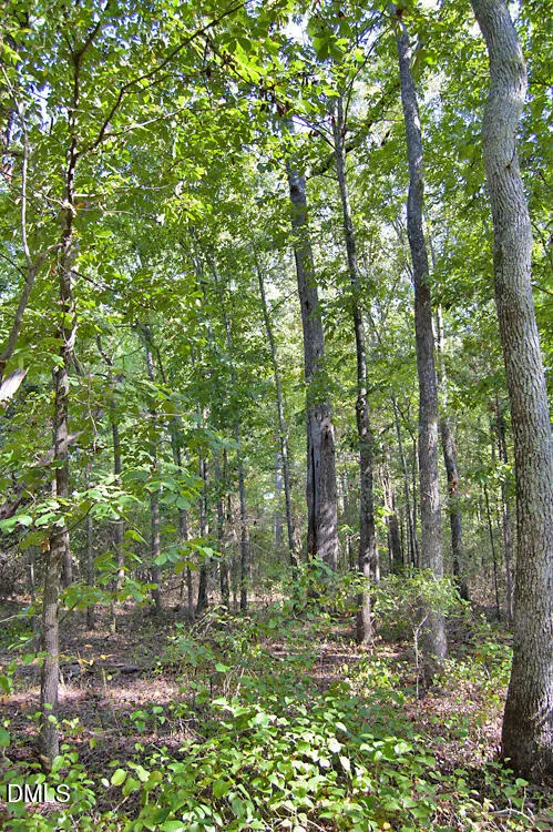 1738 Laurel Mill-centerville Road Louisburg, NC 27549