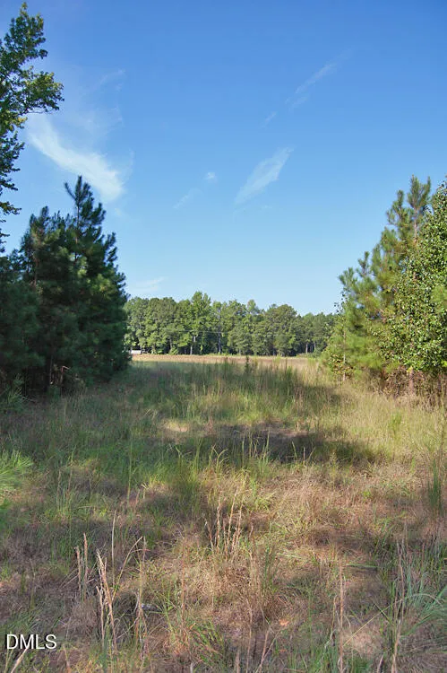 1738 Laurel Mill-centerville Road Louisburg, NC 27549