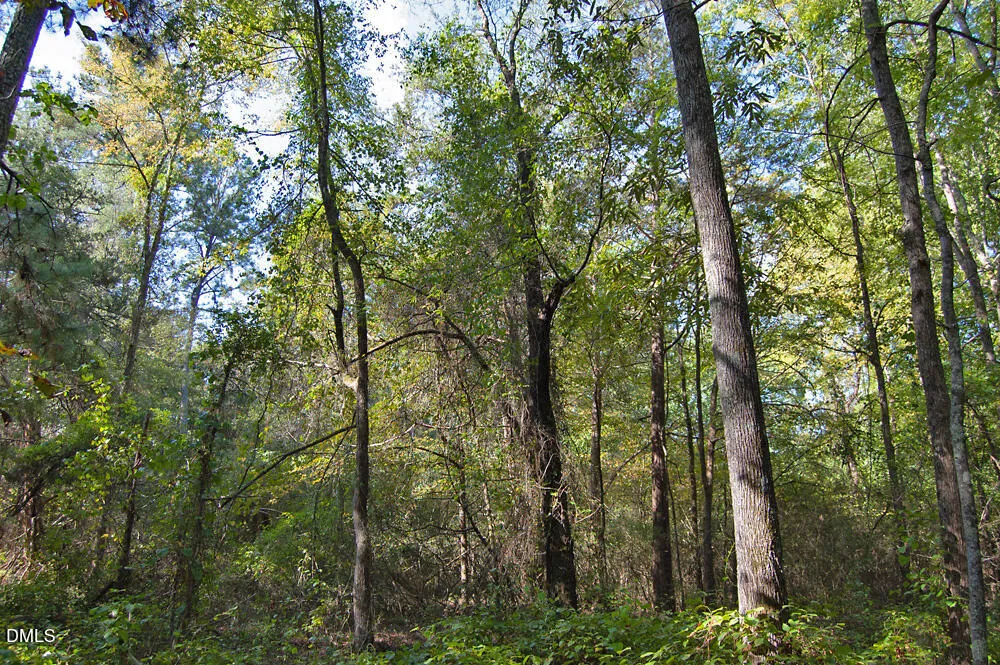 1738 Laurel Mill-centerville Road Louisburg, NC 27549