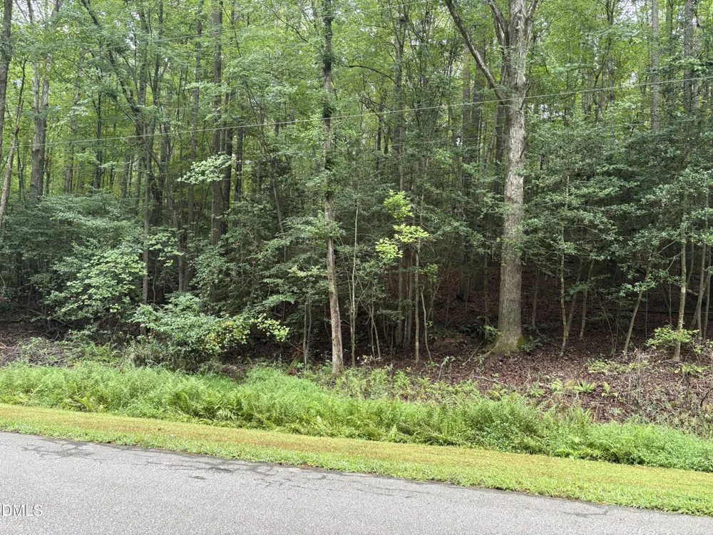 118 Souix Drive Louisburg, NC 27549