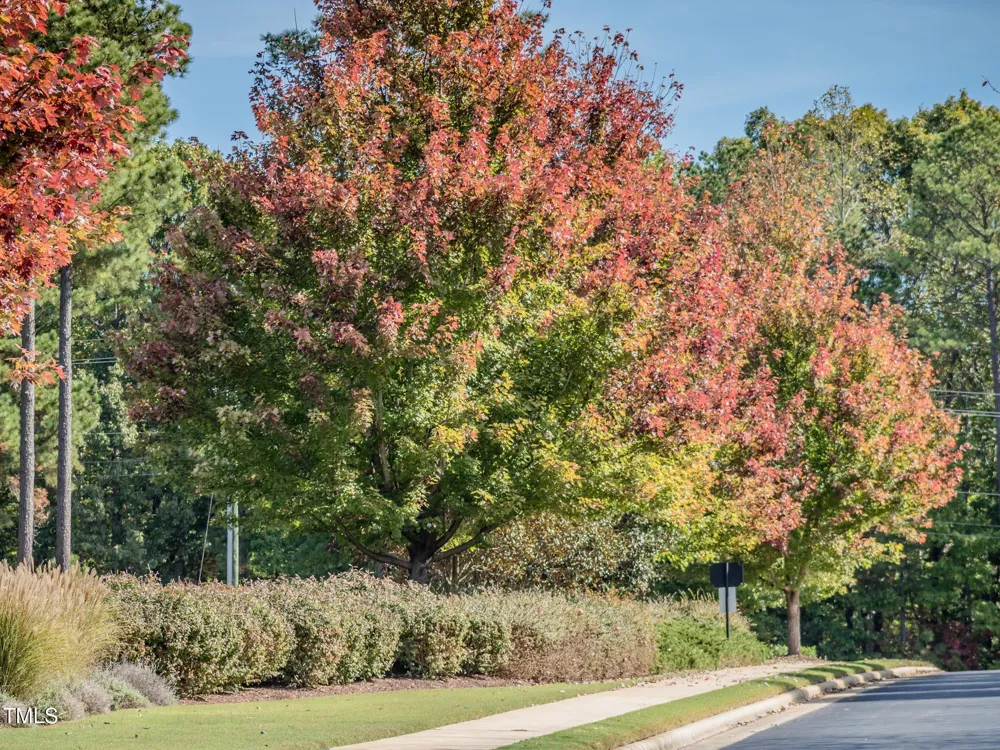130 Bur Oak Court Pittsboro, NC 27312