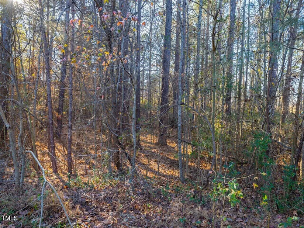 130 Bur Oak Court Pittsboro, NC 27312