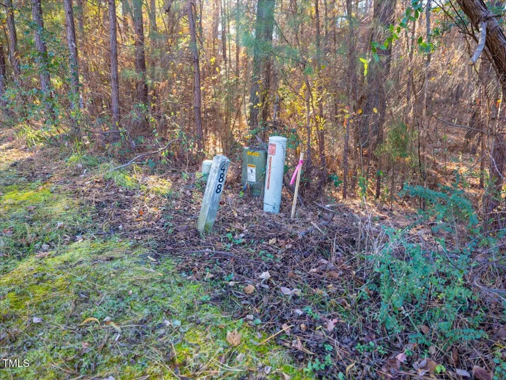 130 Bur Oak Court Pittsboro, NC 27312