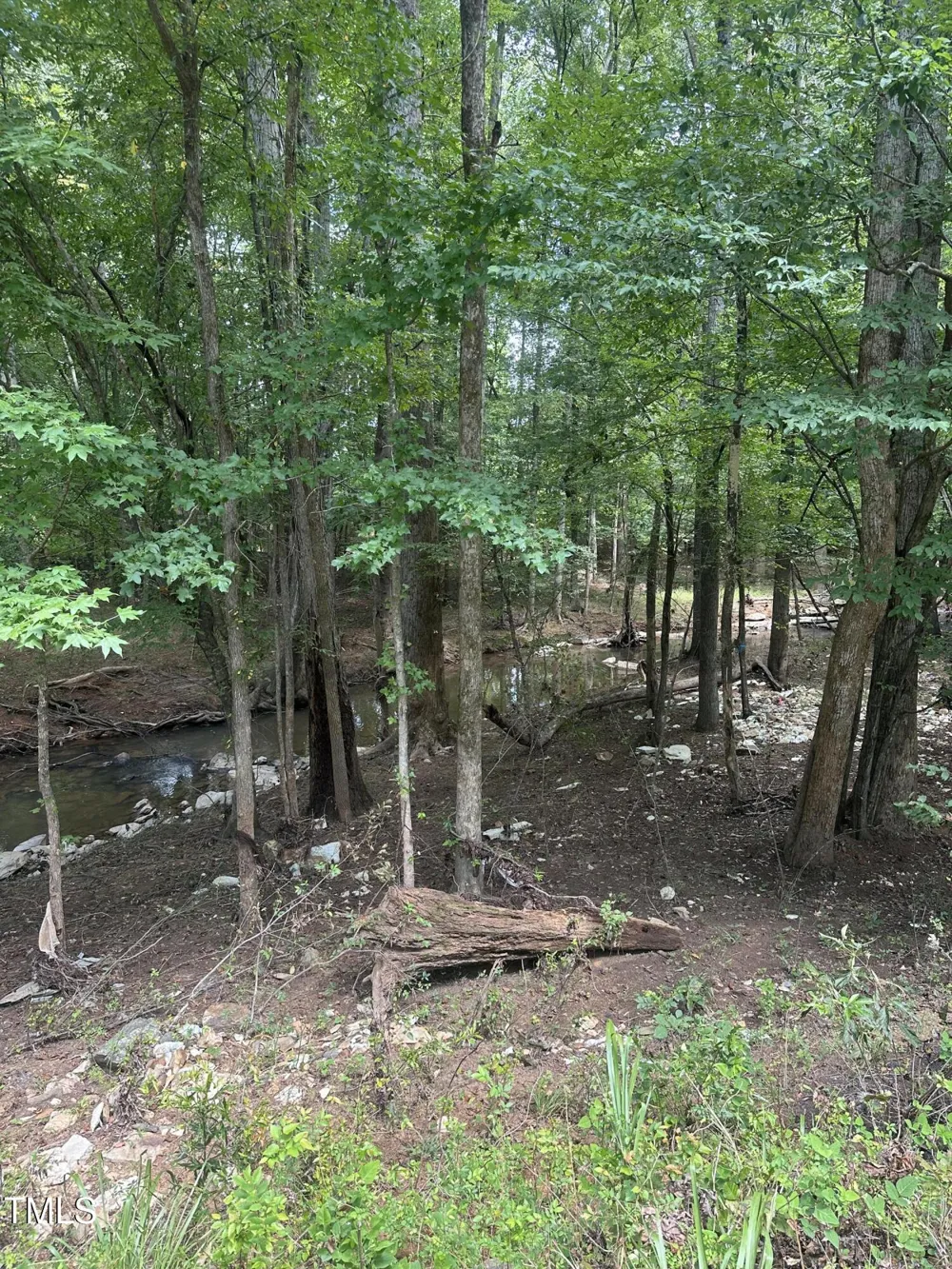 Lot 1 Schley Road Hillsborough, NC 27278