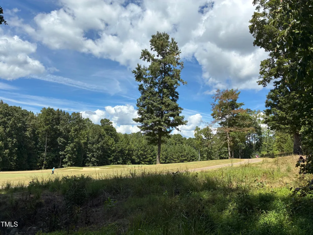 48 Sweet Meadow Lane Pittsboro, NC 27312