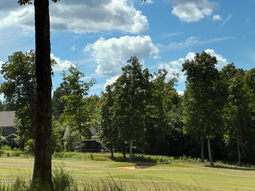 48 Sweet Meadow Lane Pittsboro, NC 27312