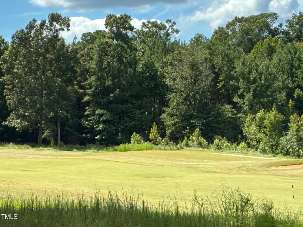 44 Sweet Meadow Lane Pittsboro, NC 27312