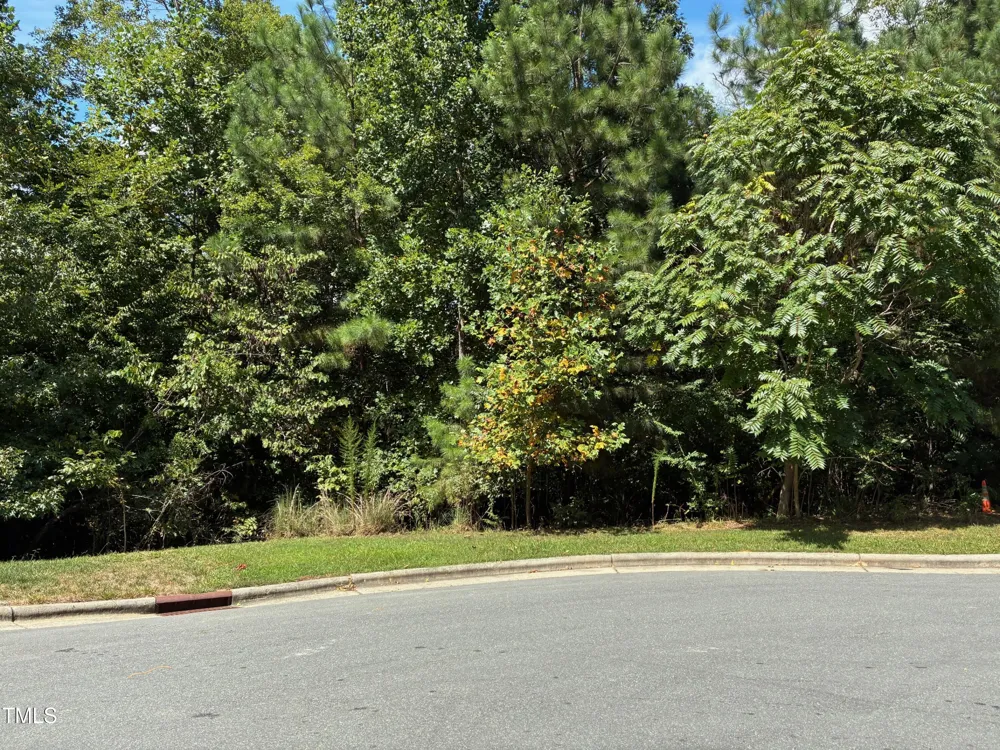44 Sweet Meadow Lane Pittsboro, NC 27312