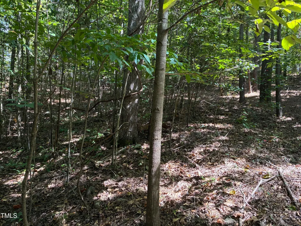 44 Sweet Meadow Lane Pittsboro, NC 27312