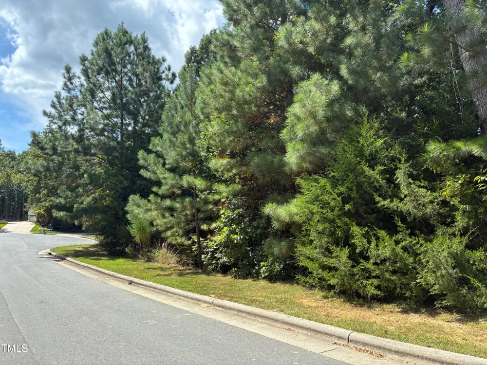 44 Sweet Meadow Lane Pittsboro, NC 27312