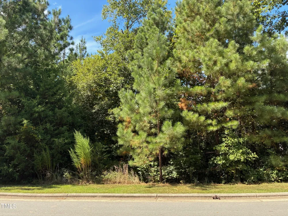 44 Sweet Meadow Lane Pittsboro, NC 27312