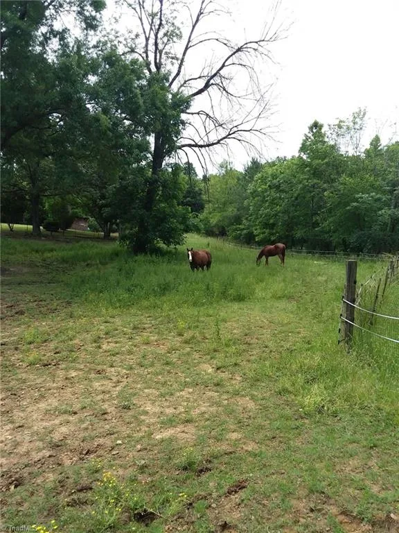 1753 Smith Farm Road Lexington, NC 27292