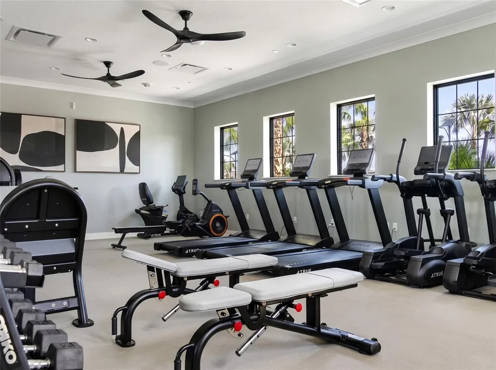 11824 BLUE DIAMOND TRAIL Parrish, FL 34219