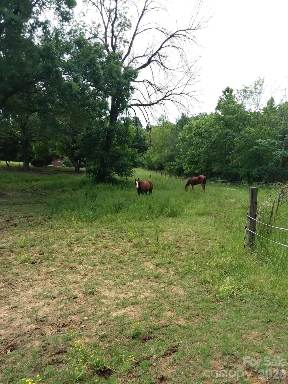 1753 Smith Farm Road #55 Lexington, NC 27292
