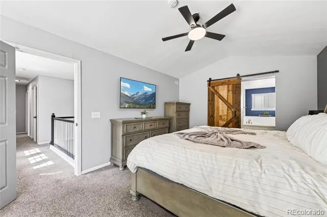 9924 Silver Maple Way Highlands Ranch, CO 80129