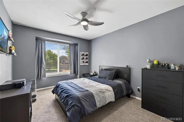 9924 Silver Maple Way Highlands Ranch, CO 80129