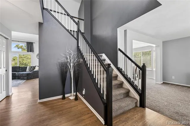 9924 Silver Maple Way Highlands Ranch, CO 80129