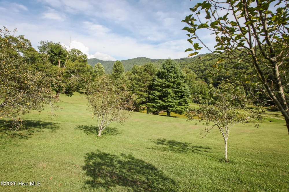 1056 Franks Creek Road Robbinsville, NC 28771