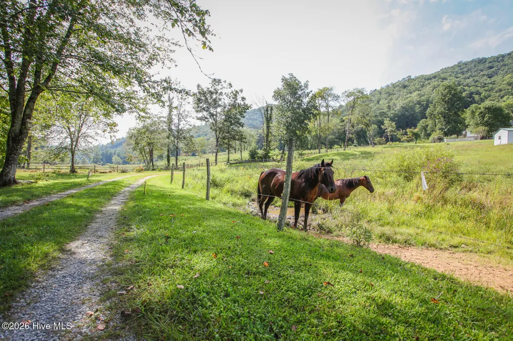 1056 Franks Creek Road Robbinsville, NC 28771